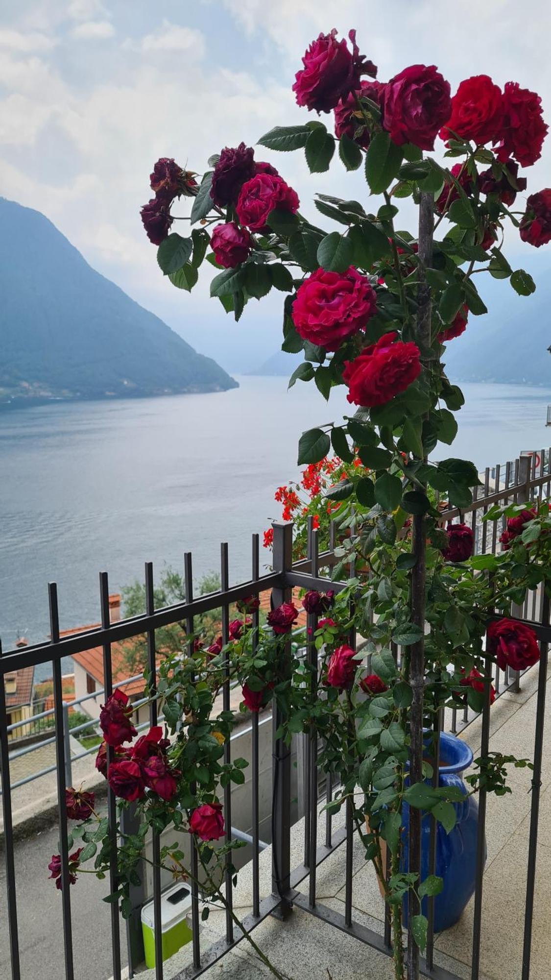 Panoramica Di Apartment